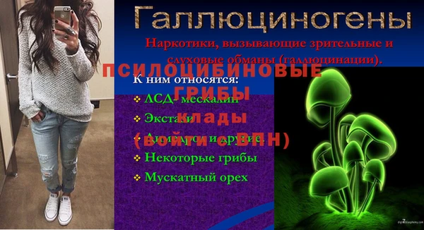 дурь Алексин