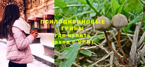 дурь Алексин