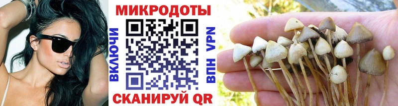 Галлюциногенные грибы ЛСД Феодосия
